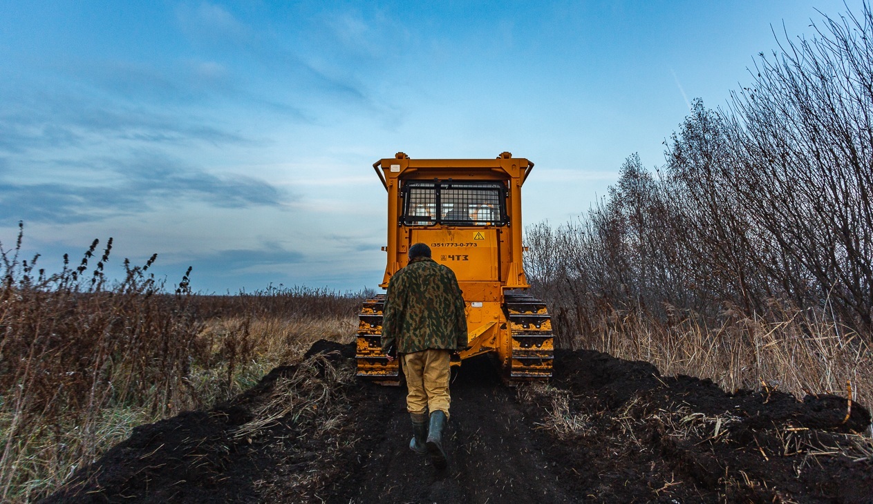 Арендаторов лесных участков, не предотвращающих пожары, смогут лишить договора аренды